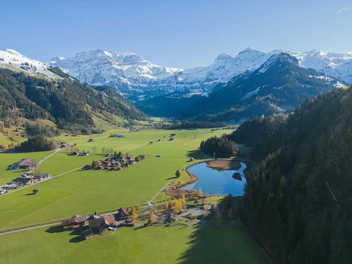 Lenk